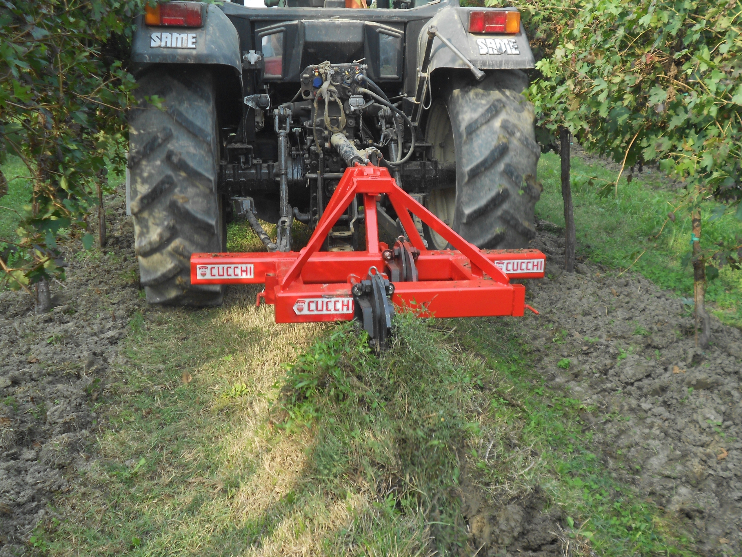 SUBSOILER FOR VINEYARDS - CUCCHI agricultural machinery