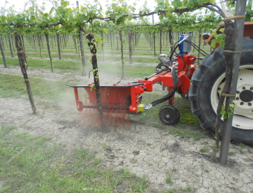 SHOOT TIPPING MACHINE / MECHANICAL WEEDING MACHINE